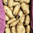 Potato Lebanese Baladi Fresh | 1kg