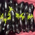 Eggplant Long Lebanon | 1KG