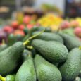 Avocado Atanja – LEB | 500G
