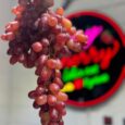 Gapes scarlet Seedless /500G