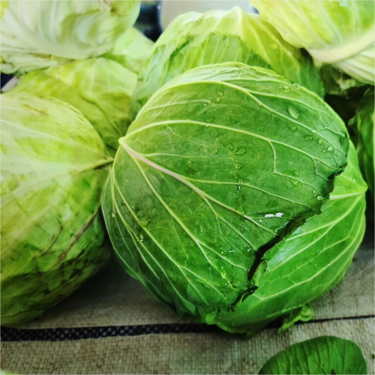 cabbage baladi
