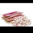Ayesha Khanom Beans Red /500g