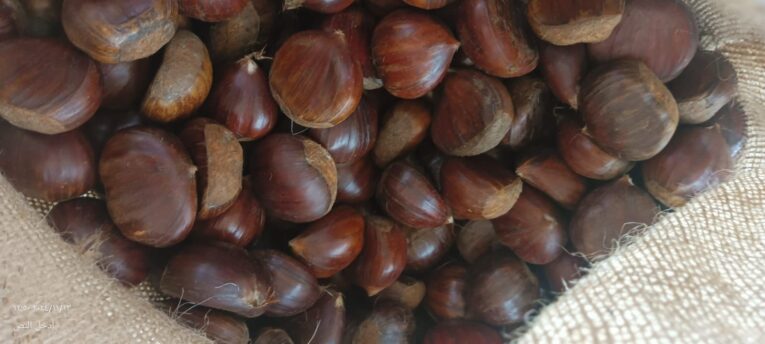 f05d263a-3aac-4eba-9336-6aa20bcc7230-2