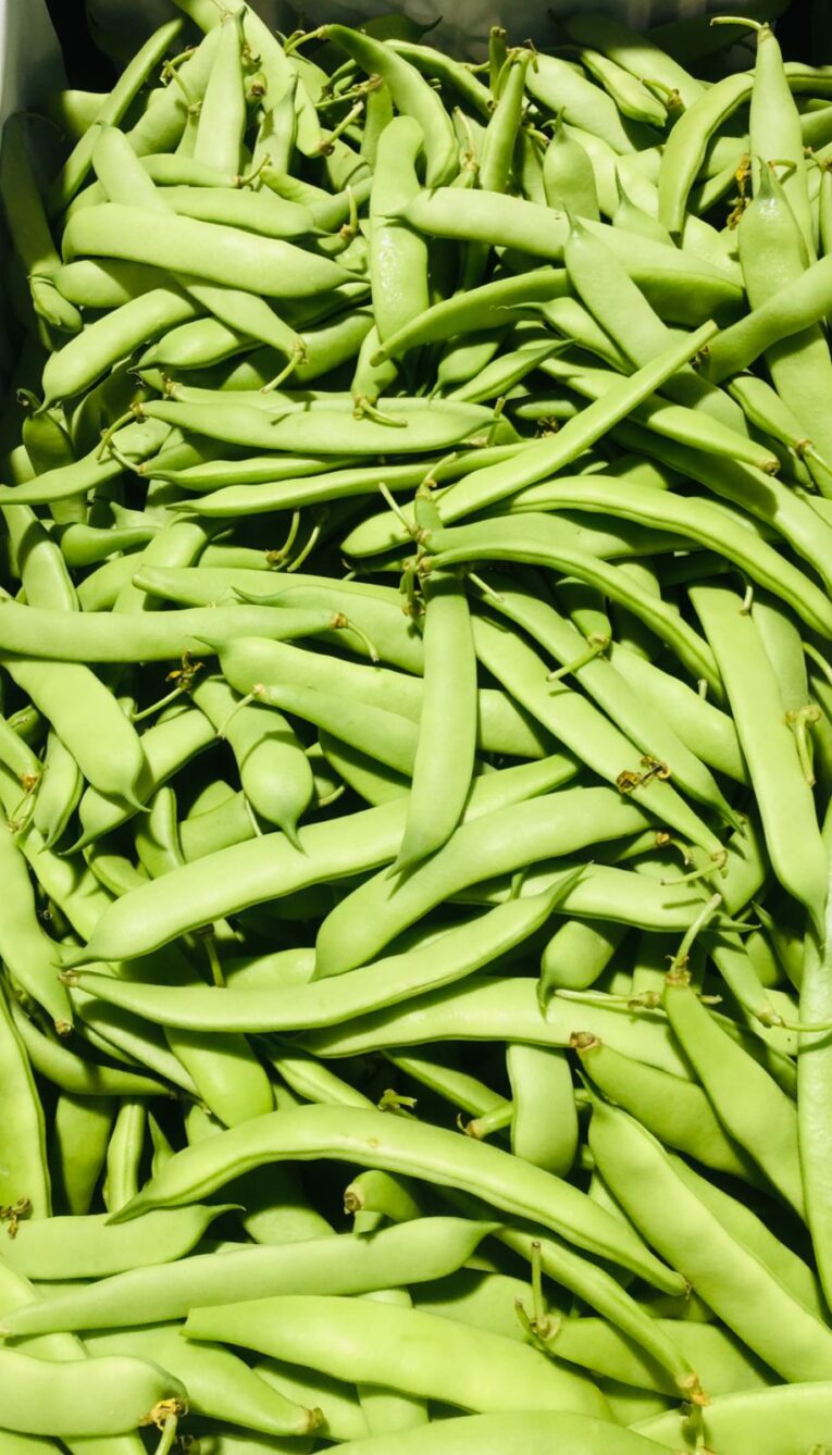 flat beans