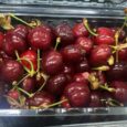 Cherry Red Extra -Lebanon /500g