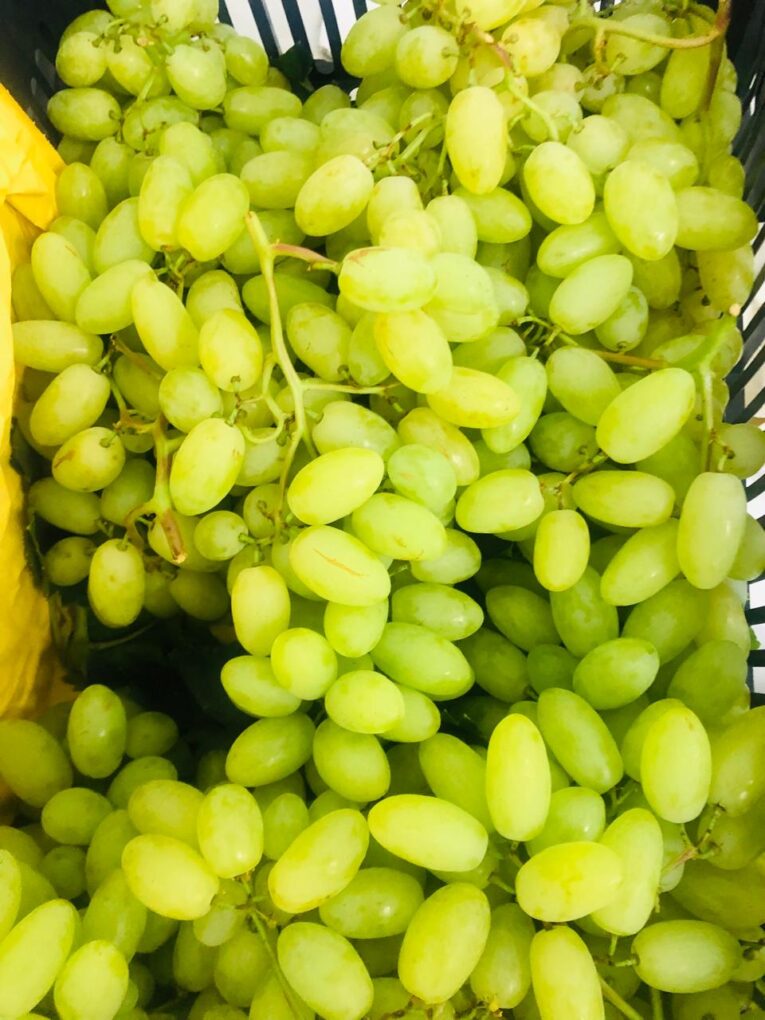 BAYTAMOUNI GRAPES LEB