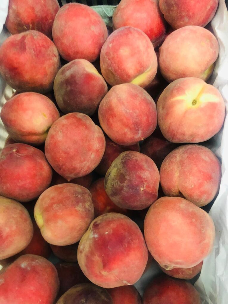 PEACH BEKFAIA LEB