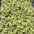 Okra Green Lebanese /500g