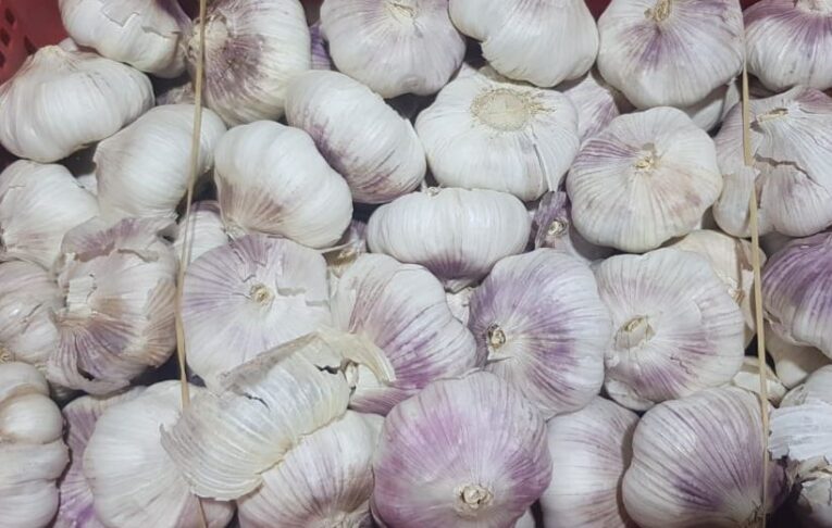 lebanese garlic