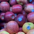 Apple Red Royal / 500g