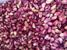 Lebanese Pistachios