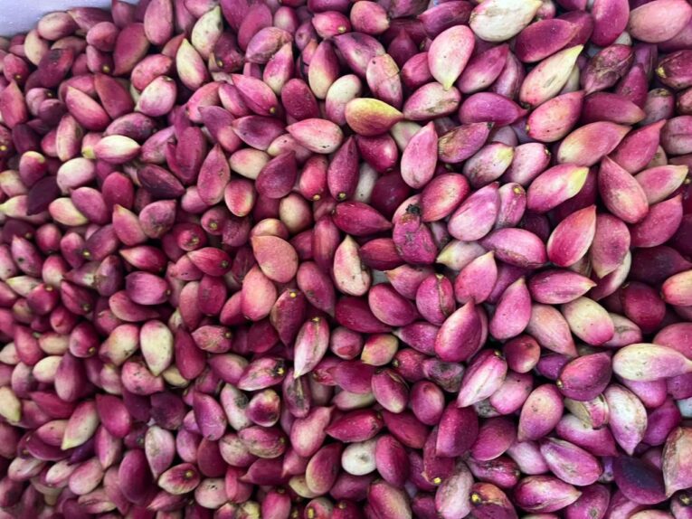 pistachios leb