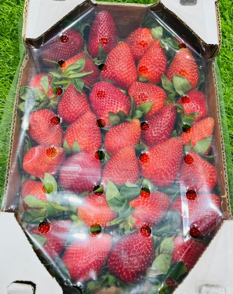 STRAWBERRY BOX