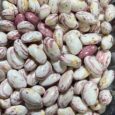 Ayesha Khanom Red Peeled/500g