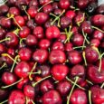 Cherry Red Extra -Lebanon/250G