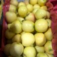 Apple Sokari lebanon/  500 g