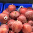 Apple Red lebanon / 500g
